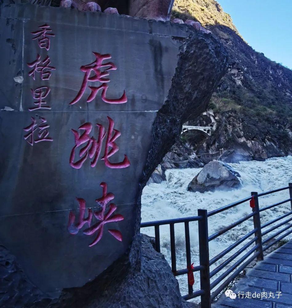 救援受困的鹭