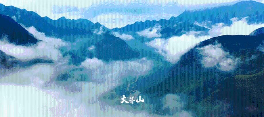 无棣警方迅速侦破小区车库酒水被盗系列案件