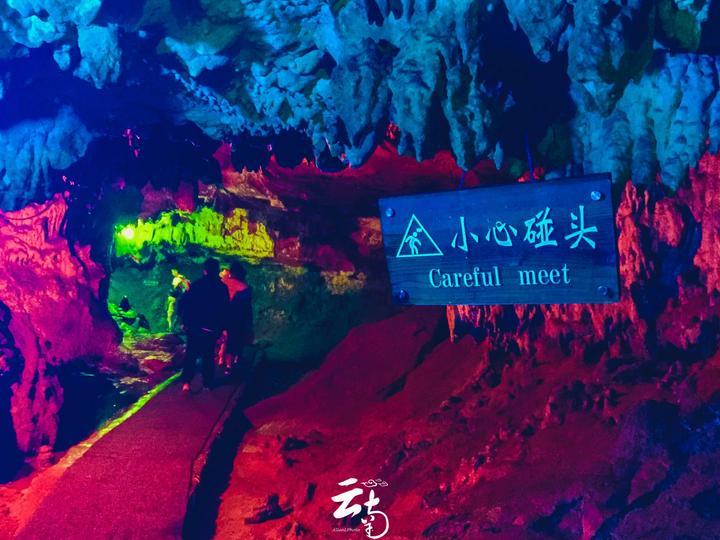 爱吃的鱼