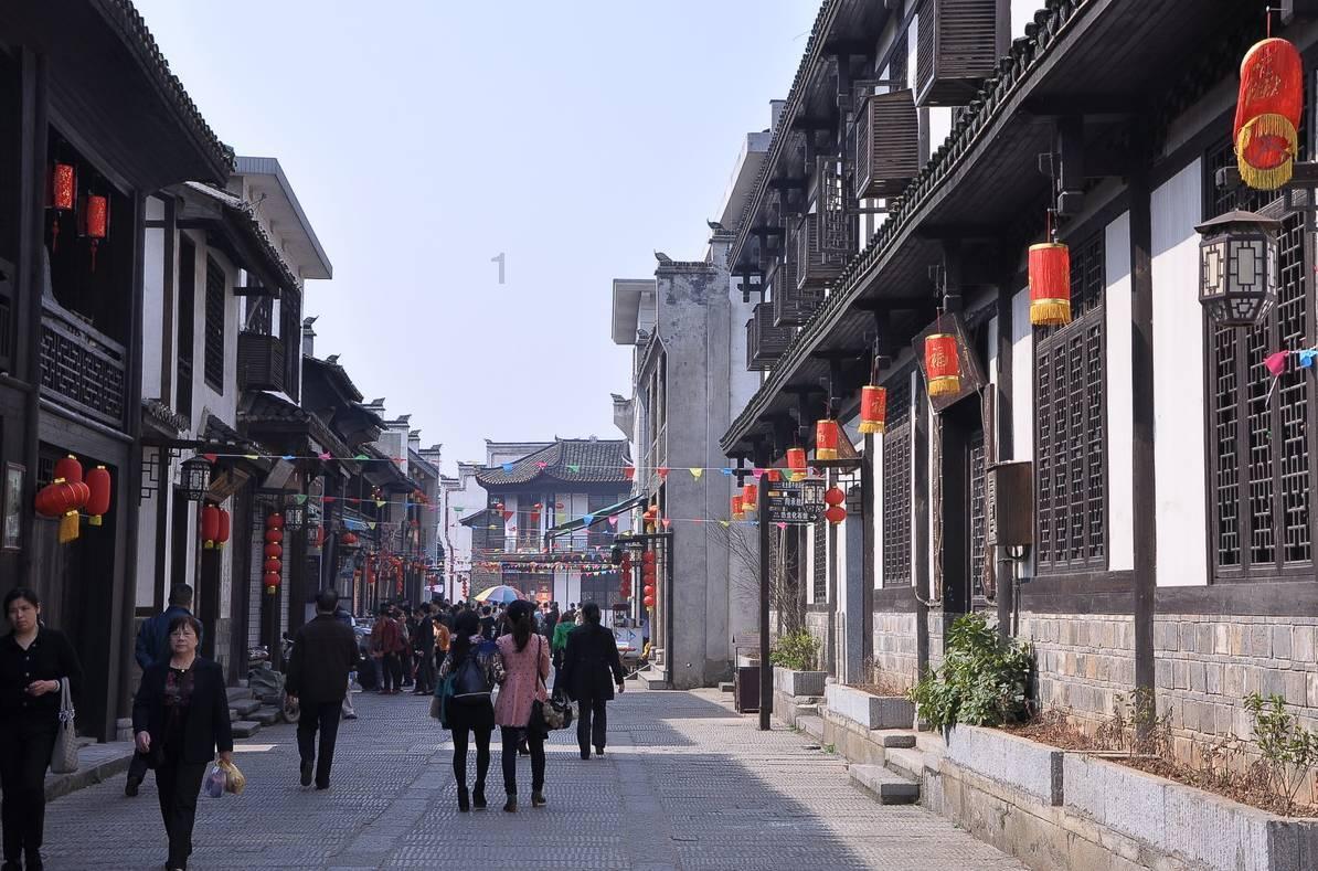 这是什么植物呢？游戏画面